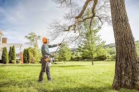 Best Commercial Tree Services  in Sylvania, GA